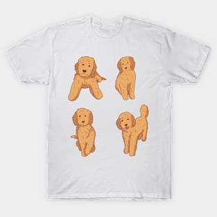 Cute Golden doodle pack T-Shirt